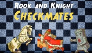 Rook and Knight Checkmating Patterns explored by Mr. C
